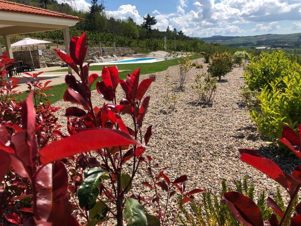 Quinta Bemboa Turismo Espaco Rural Aricera Exteriér fotografie